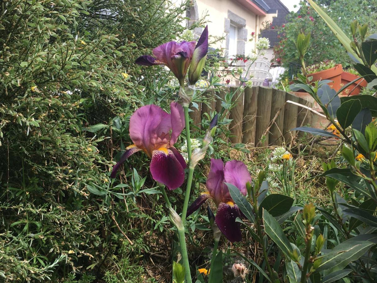 Paisible Et Balneo * Vezin-le-Coquet